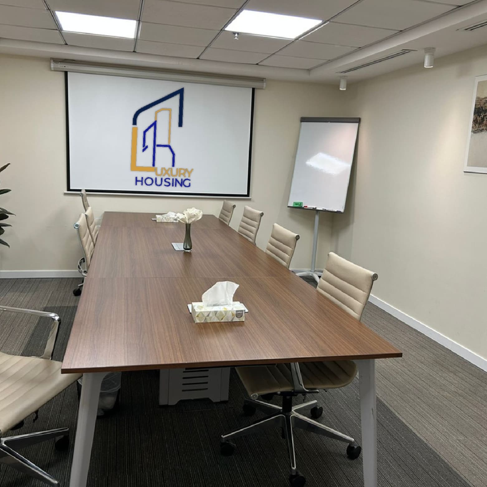 عرض الضرائب